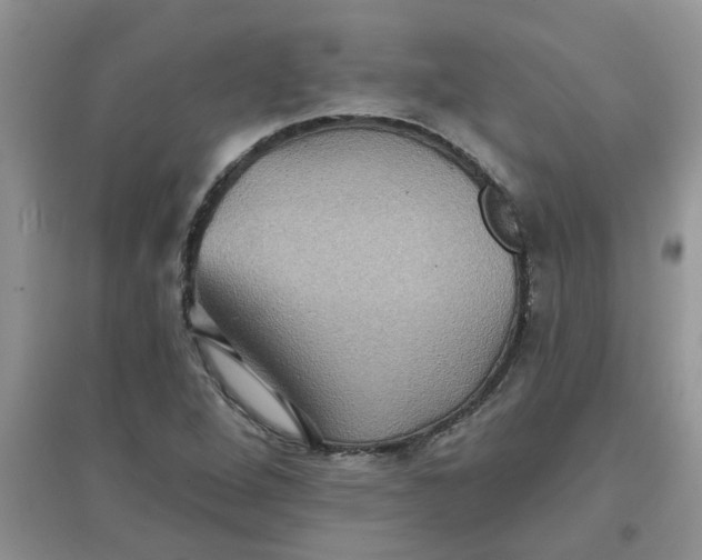 X0000097631264200803142017