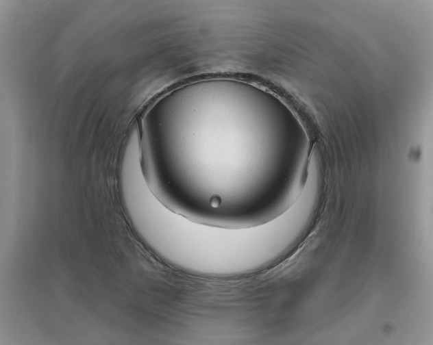 X0000097631265200803142017