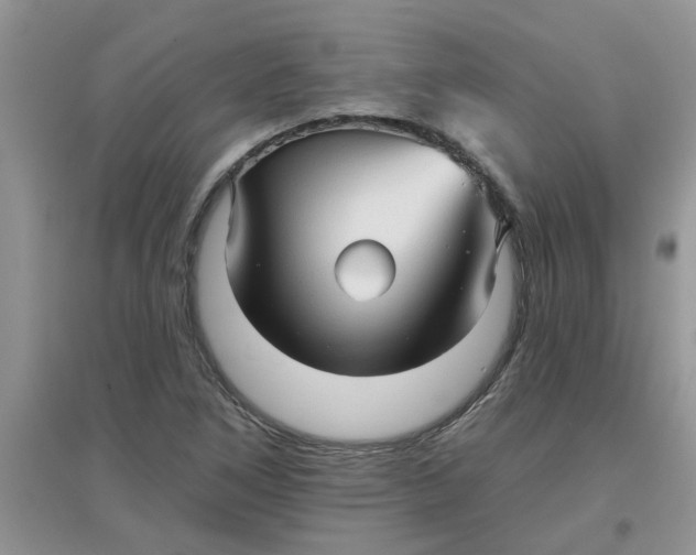 X0000097631266200803142017