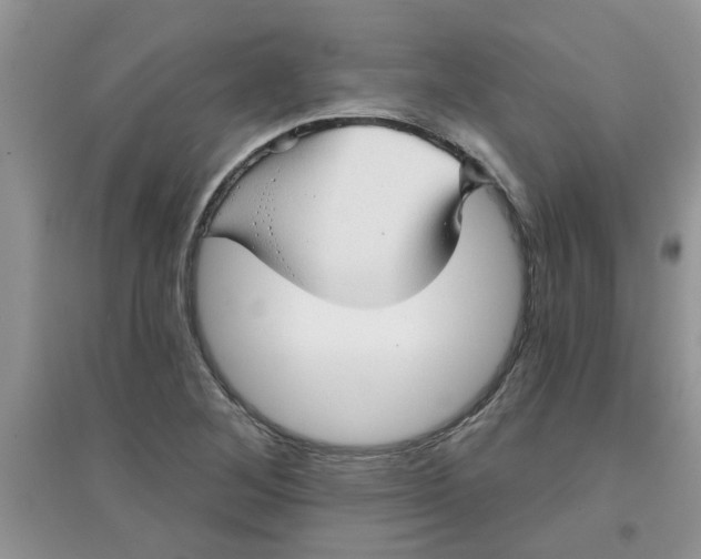 X0000097631268200803142017