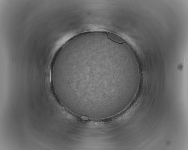 X0000097631269200803142017