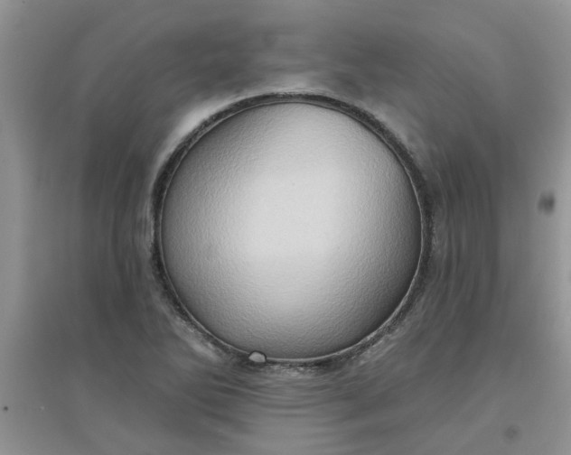 X0000097631270200803142017