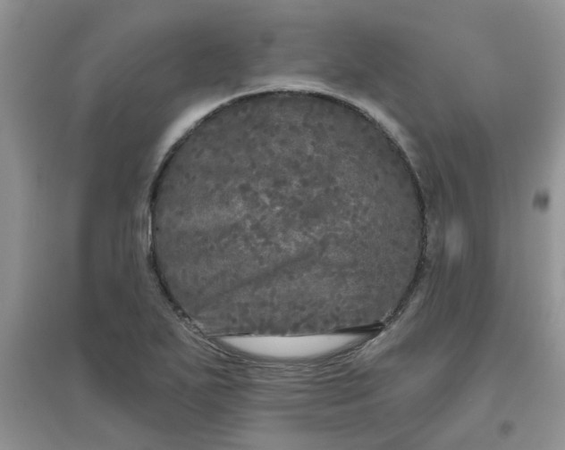 X0000097631271200803142017