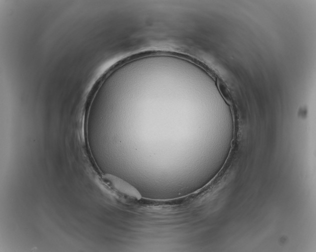 X0000097631272200803142017