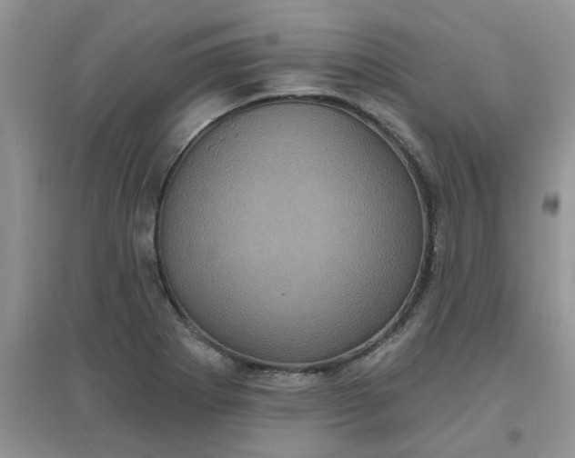 X0000097631273200803142016