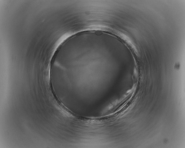 X0000097631275200803142016