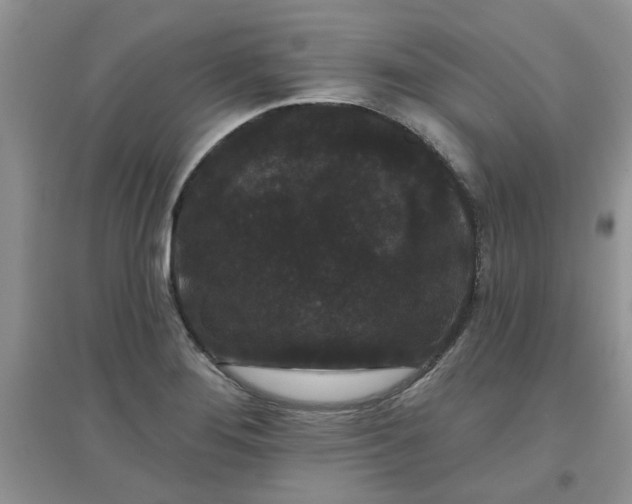 X0000097631276200803142016