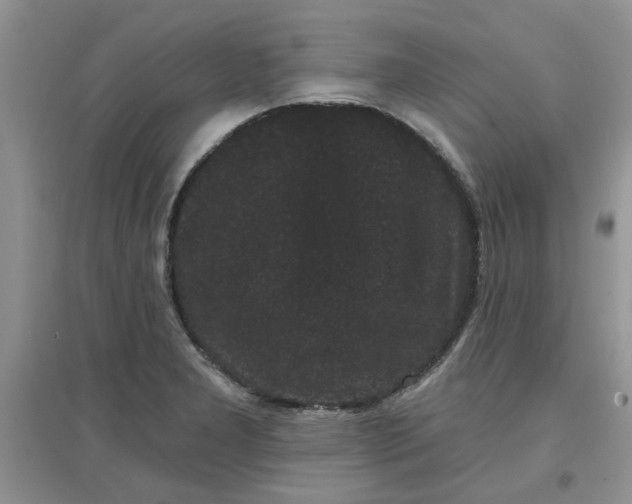 X0000097631277200803142016