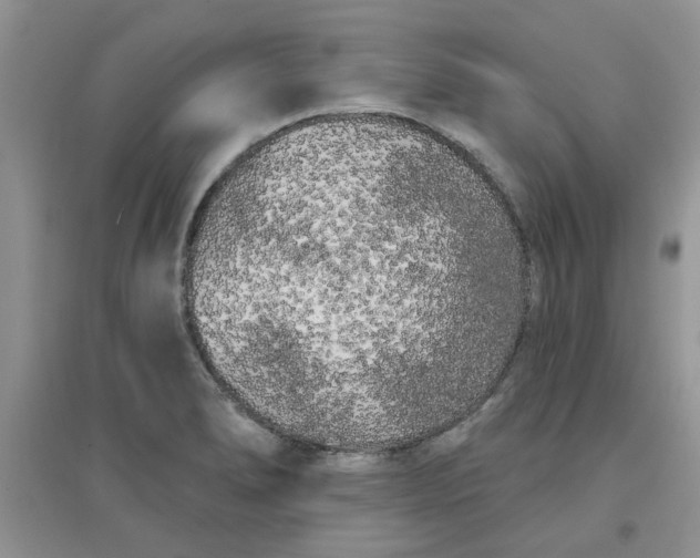 X0000097631278200803142016