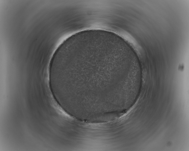 X0000097631280200803142016