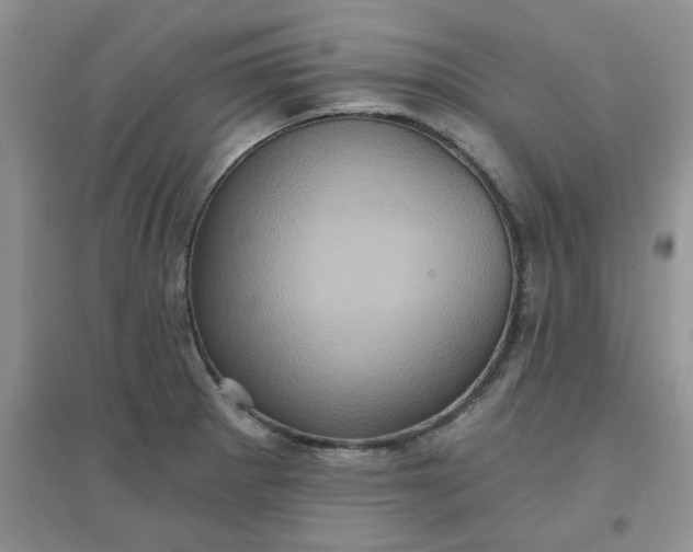 X0000097631281200803142016