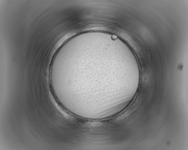 X0000097631282200803142016