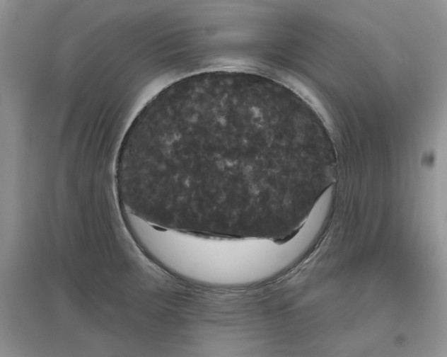 X0000097631283200803142016