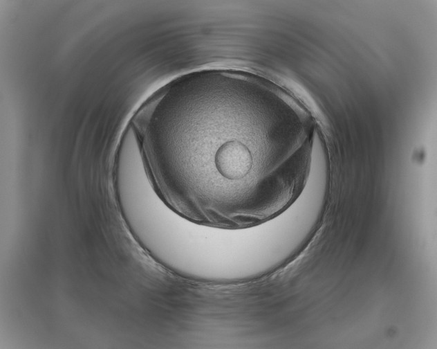 X0000097631284200803142016