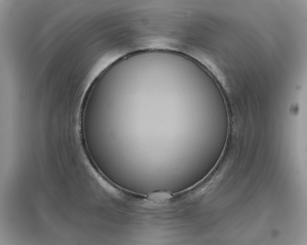 X0000097631285200803142016