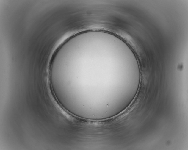 X0000097631286200803142016