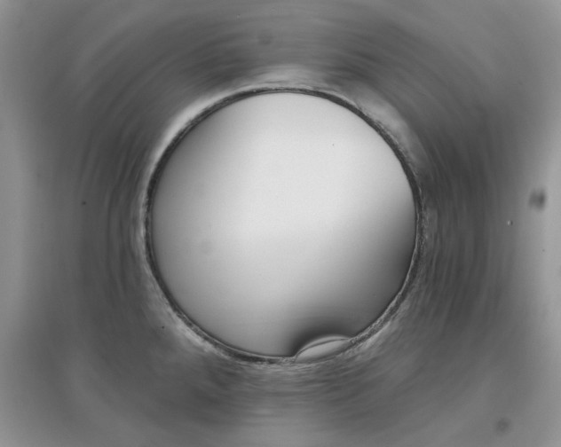 X0000097631288200803142016