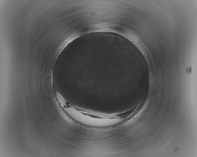 X0000097631289200803142016