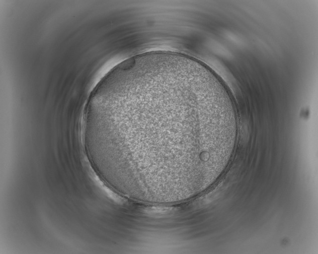 X0000097631290200803142016