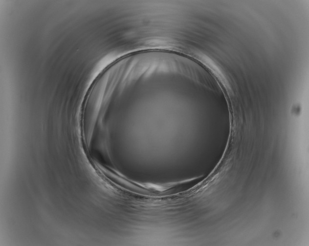 X0000097631291200803142016