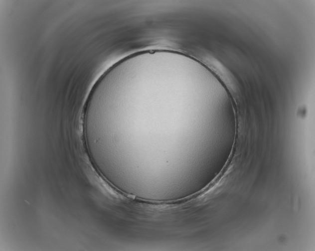 X0000097631292200803142016