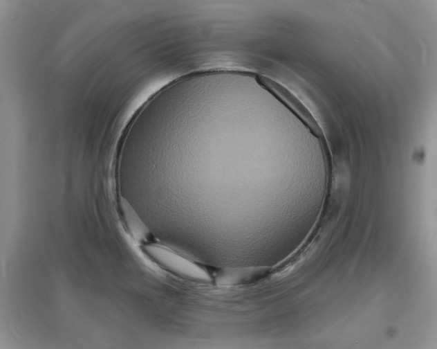 X0000097631293200803142016