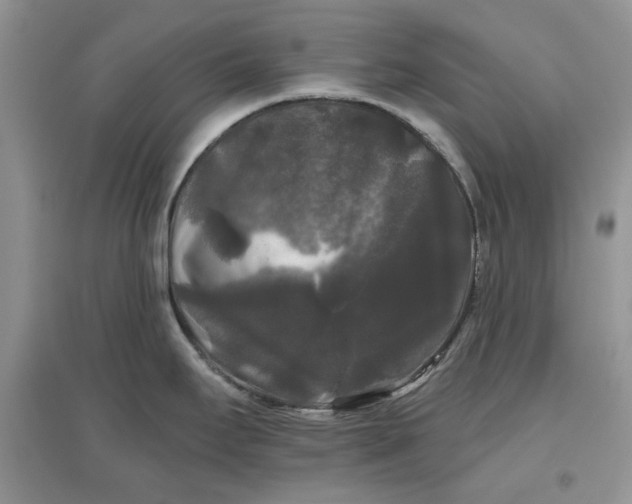 X0000097631295200803142016