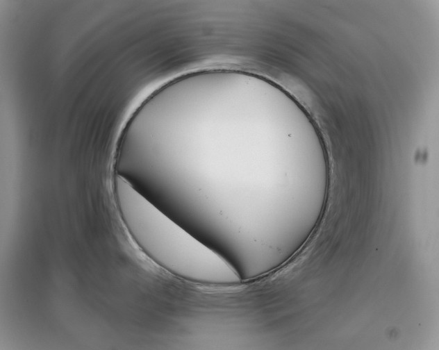 X0000097631296200803142016