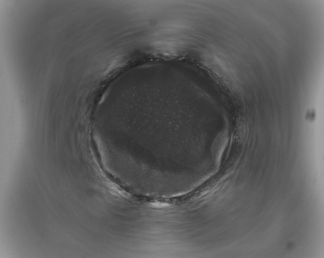 X0000097631297200803142016