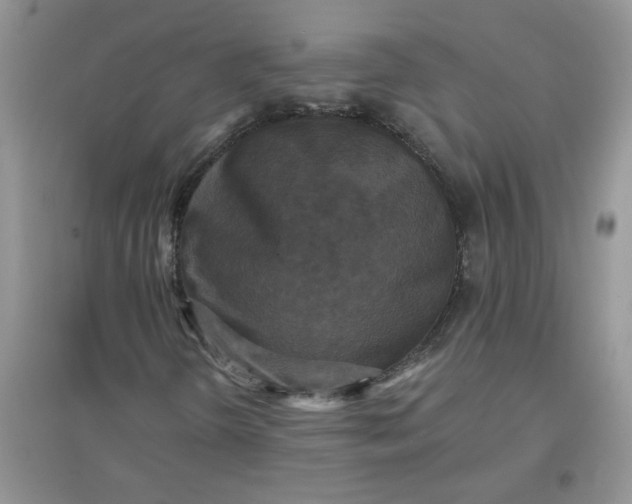 X0000097631298200803142016