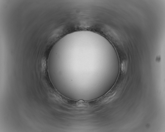 X0000097631299200803142016