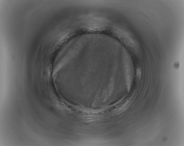 X0000097631300200803142016