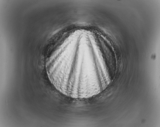 X0000097631301200803142016