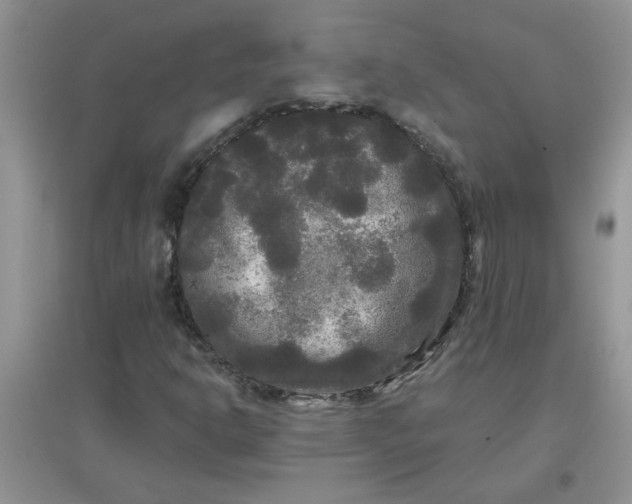 X0000097631302200803142016