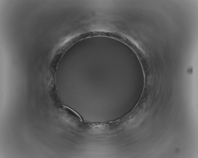 X0000097631303200803142016