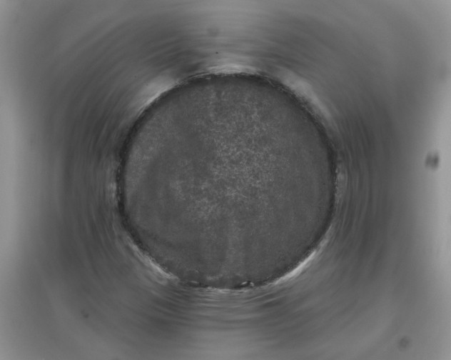 X0000097631305200803142016