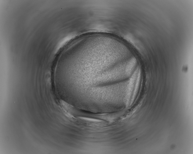 X0000097631307200803142016