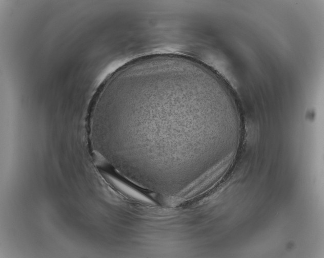 X0000097631308200803142016