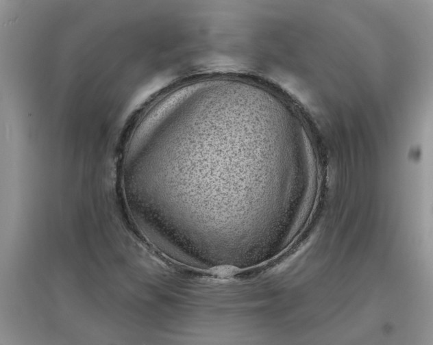 X0000097631309200803142016