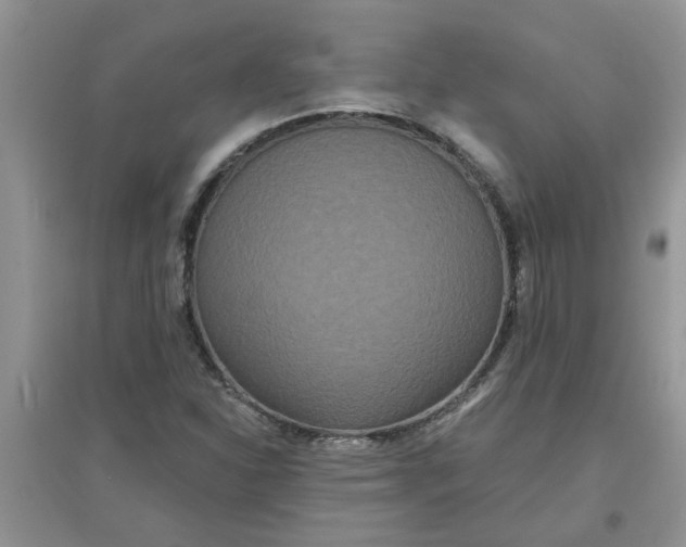 X0000097631310200803142016