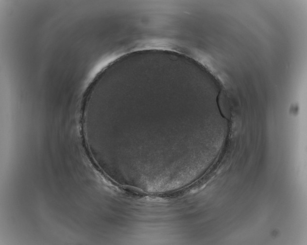 X0000097631312200803142016