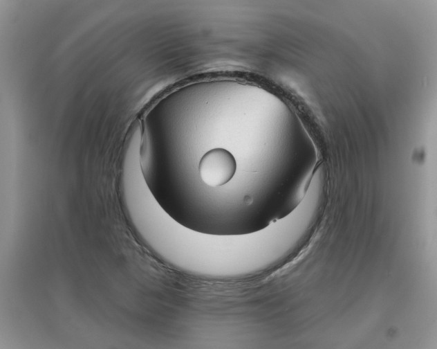 X0000097631313200803142016