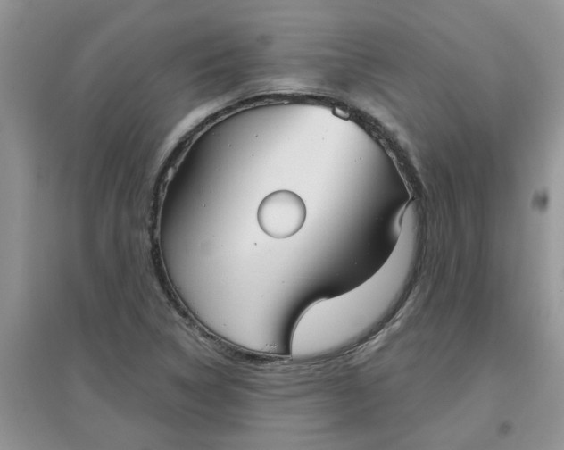 X0000097631314200803142016