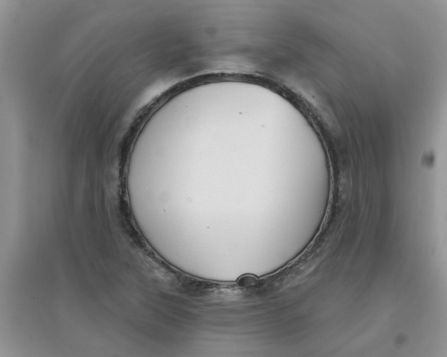 X0000097631315200803142016