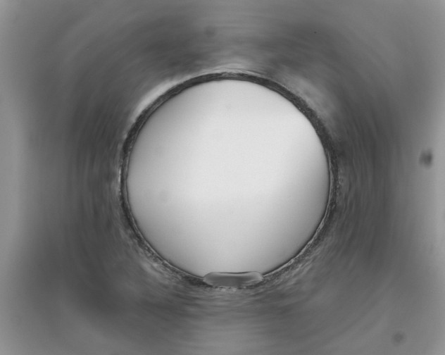 X0000097631316200803142016