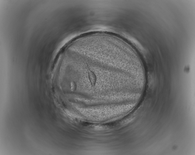 X0000097631318200803142016