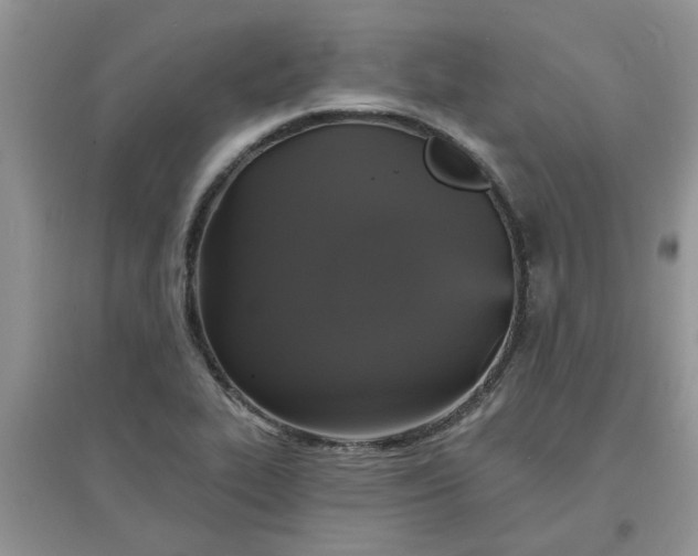 X0000097631319200803142016