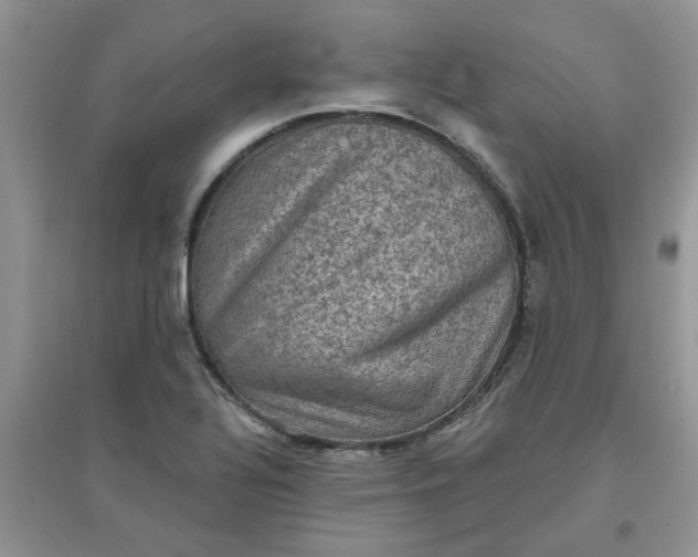 X0000097631320200803142016