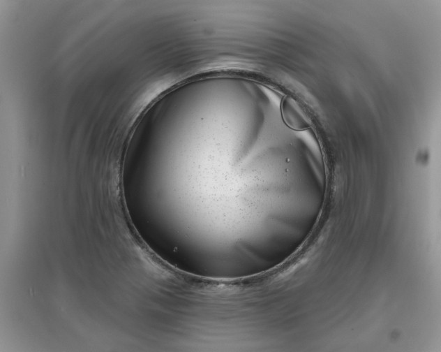 X0000097631321200803142016