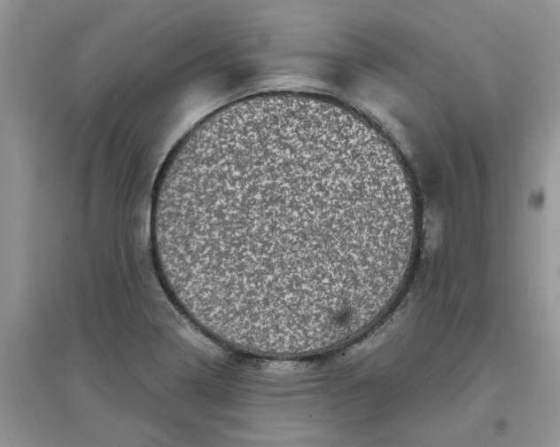 X0000097631322200803142016